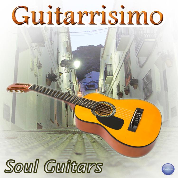 Soul Guitars's avatar image