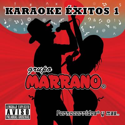 Aviso de Restricción (Karaoke)'s cover