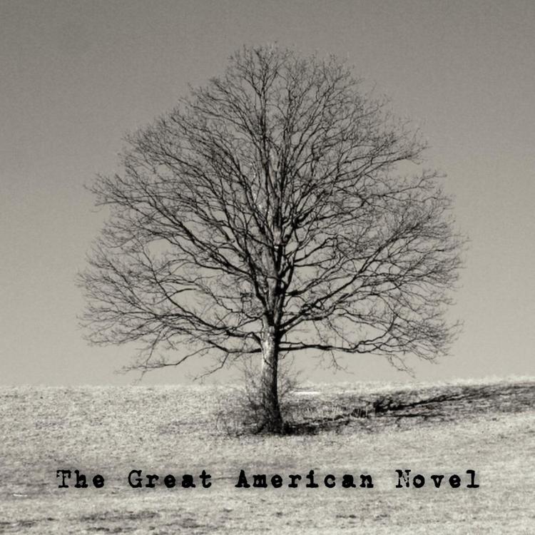 The Great American Novel's avatar image