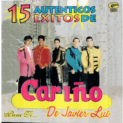 15 Autenticos Exitos de Javier Lui's cover