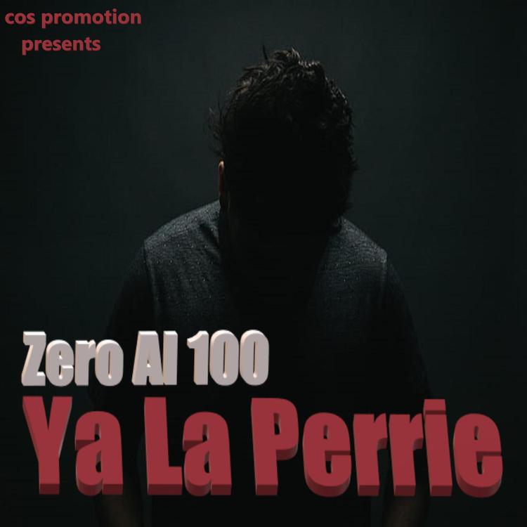 Del Zero Al 100's avatar image