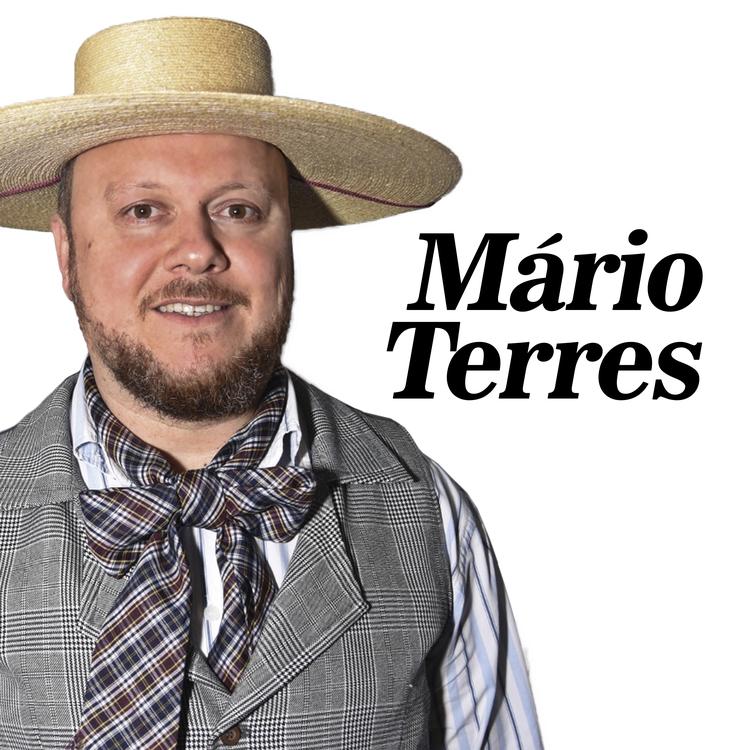 Mario Terres's avatar image