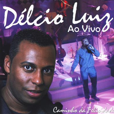 Pot Pourri: Pela Vida Inteira / Tudo Que Sonhei (Ao Vivo) By Delcio Luiz's cover