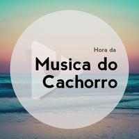 Hora da Música do Cachorro's avatar cover