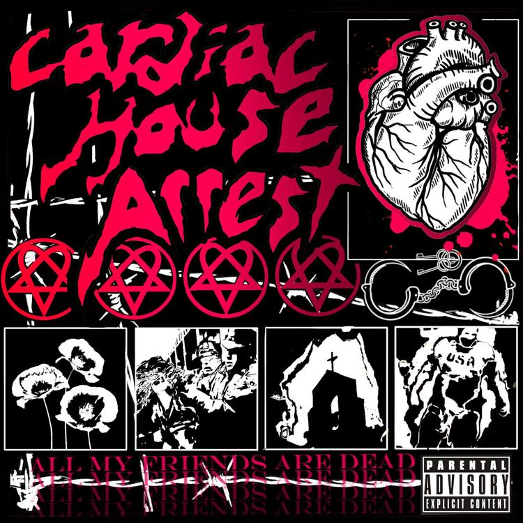Cardiac House Arrest's avatar image