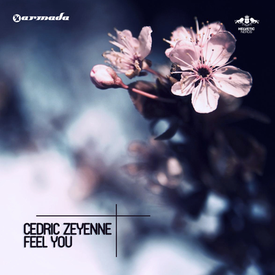 Feel You (Radio Edit) By Cedric Zeyenne's cover