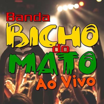 Banda Bicho do Mato's cover