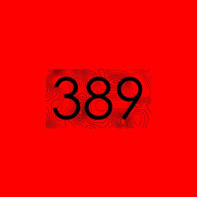 389's cover