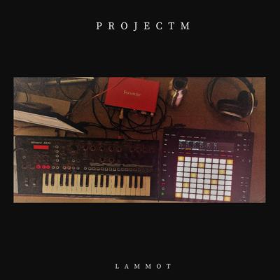 Everything in its right place (Radiohead cover) By Lammot's cover