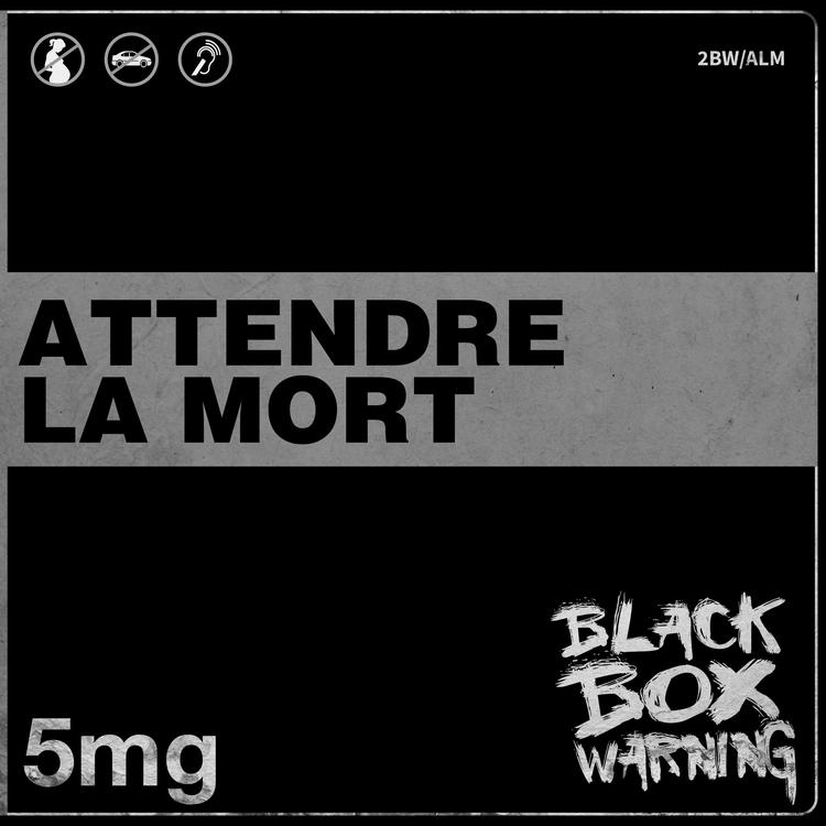Black Box Warning's avatar image