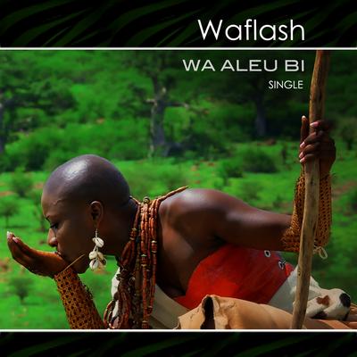 Waflash's cover