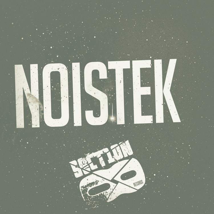 Noistek's avatar image