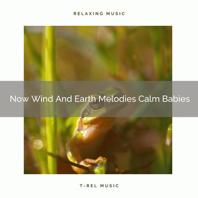 Now Wind And Earth Melodies Calm Babies's cover