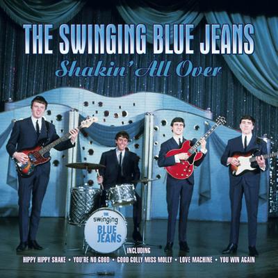 You'Re No Good By The Swinging Blue Jeans's cover