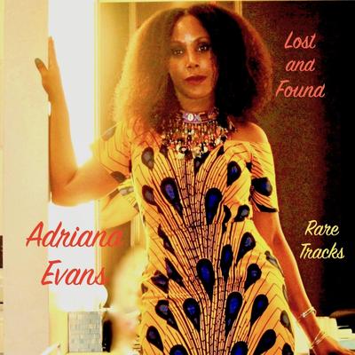 Distant Lady By Adriana Evans's cover