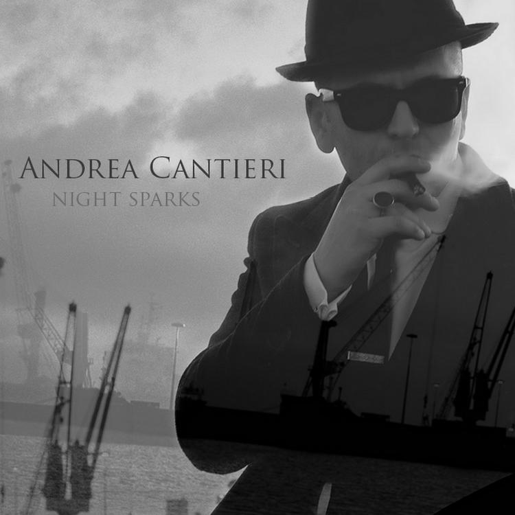 Andrea Cantieri's avatar image