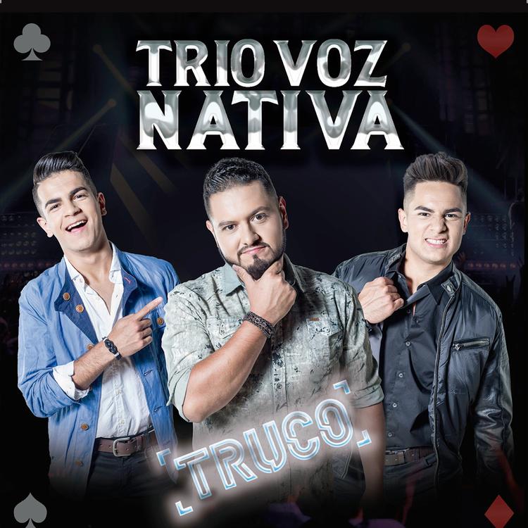 Trio Voz Nativa's avatar image