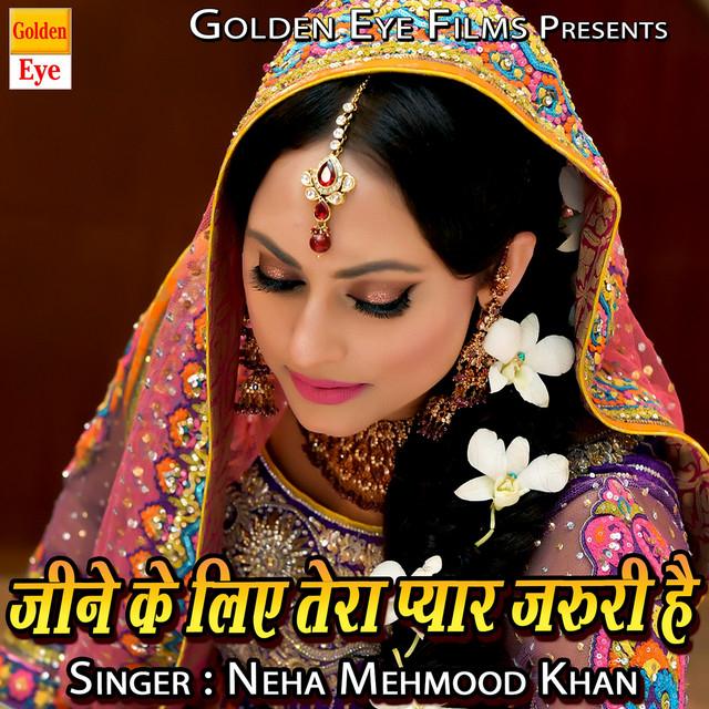 Neha Mehmood Khan's avatar image