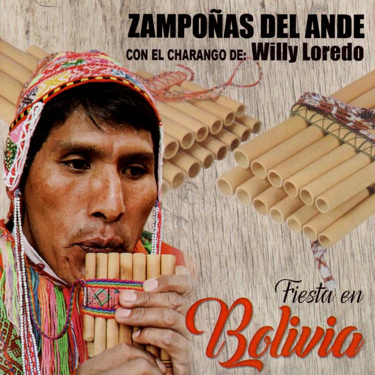 Zampoñas Del Ande's avatar image