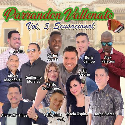 Parrandon Vallenato, Vol. 3, Sensacional's cover