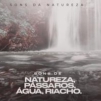 Sons da Natureza's avatar cover