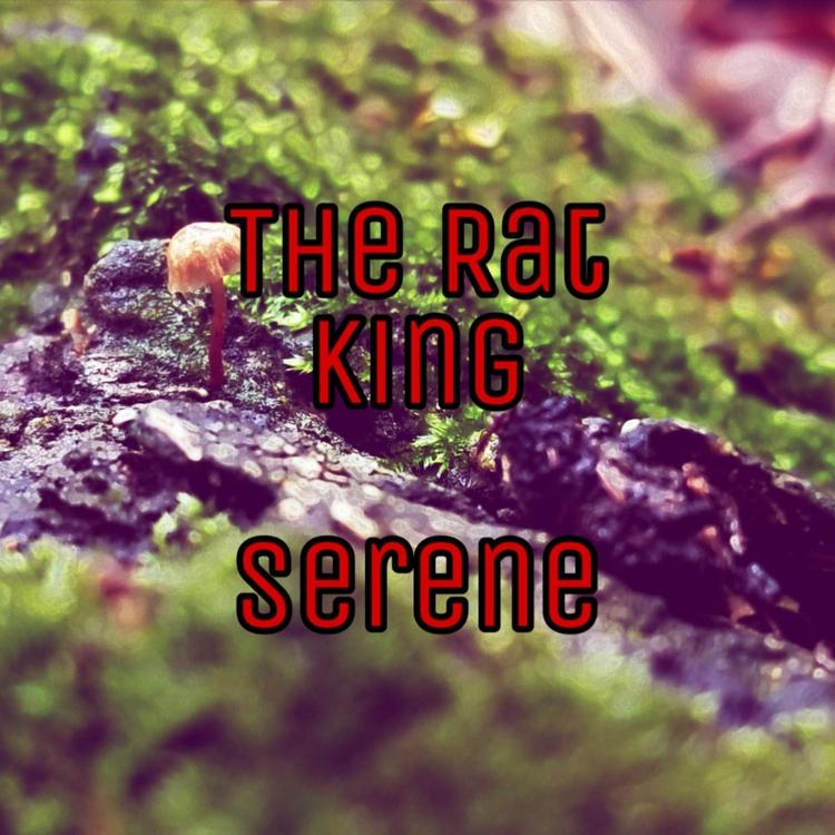 The Rat King's avatar image