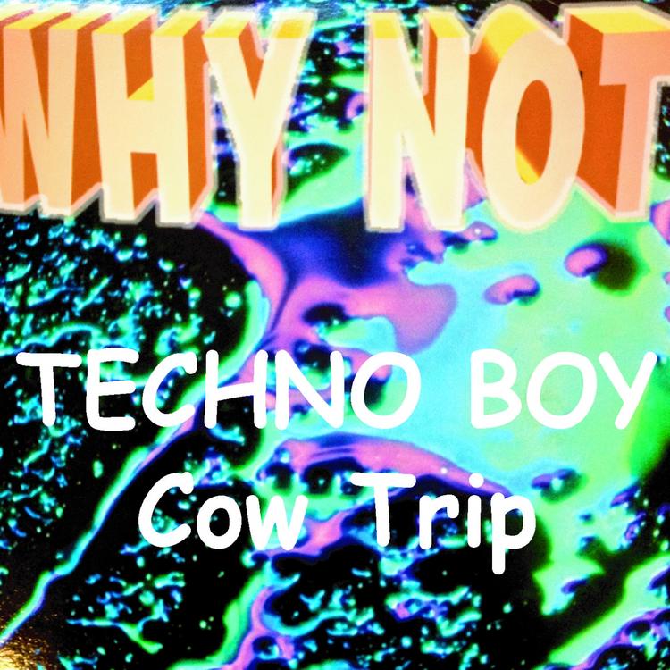 Techno Boy's avatar image