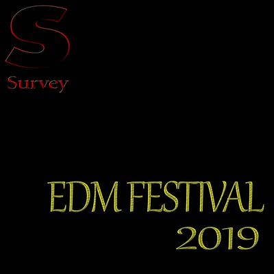 EDM FESTIVAL 2019's cover