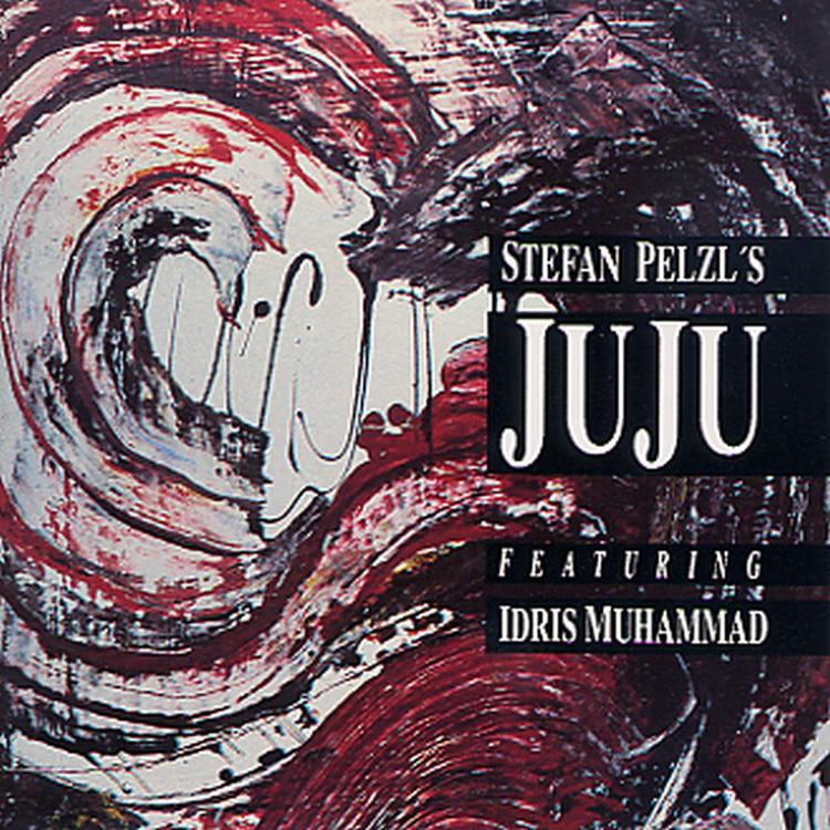 Stefan Pelzl's Juju's avatar image