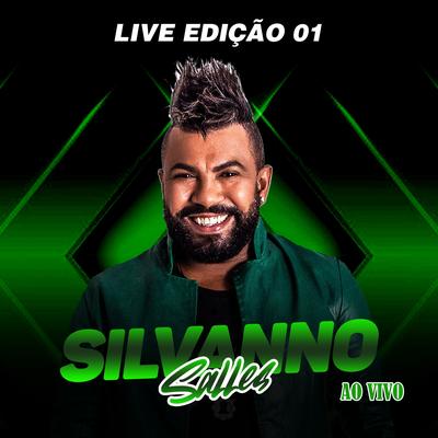 Destruí Nosso Amor (Ao Vivo) By Silvanno Salles's cover