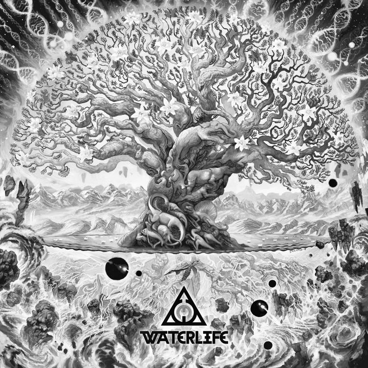 Waterlife's avatar image