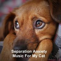 Music for dog's joys's avatar cover