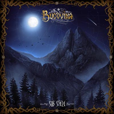 Day Follows Day, Night Follows Night (Bonus Track) By Bucovina's cover