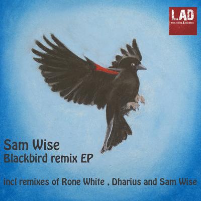 Blackbird (Dharius Remix) By Sam Wise, Dharius's cover