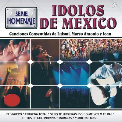 Serie Homenaje Ídolos de México's cover