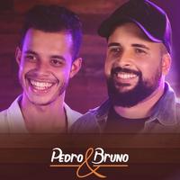 Pedro & Bruno's avatar cover