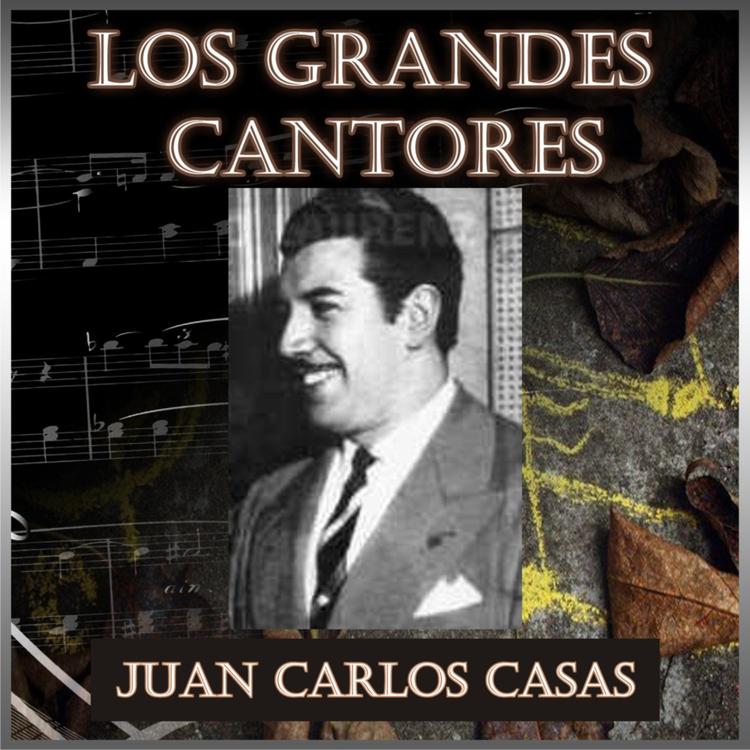 Juan Carlos Casas's avatar image