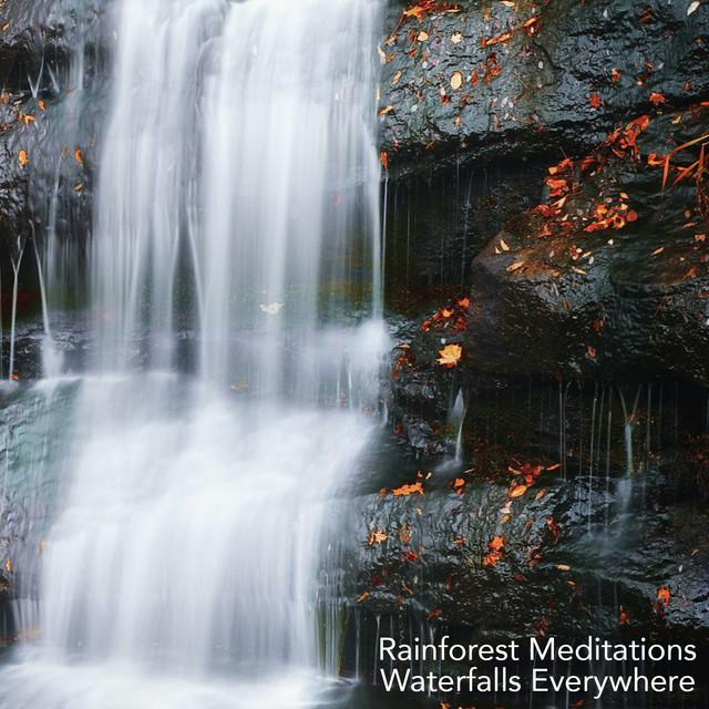 Rainforest Meditations's avatar image