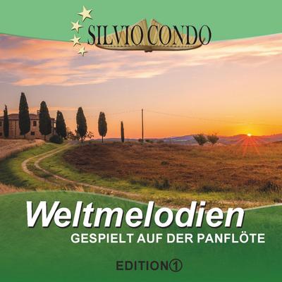 We`ve got tonight By Silvio Condo's cover