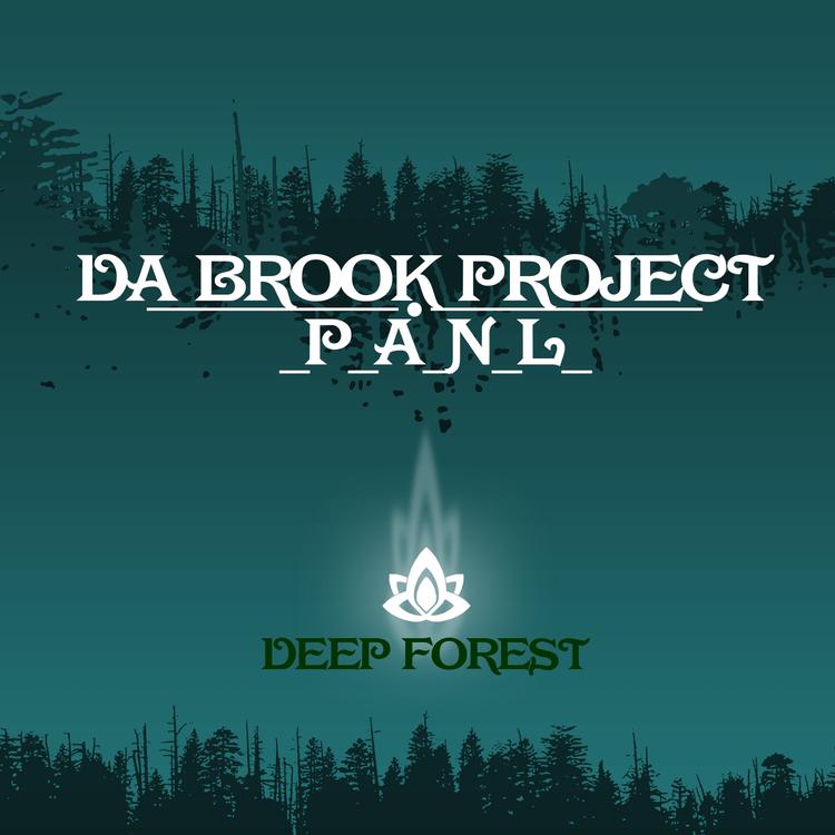 Da Brook Project's avatar image