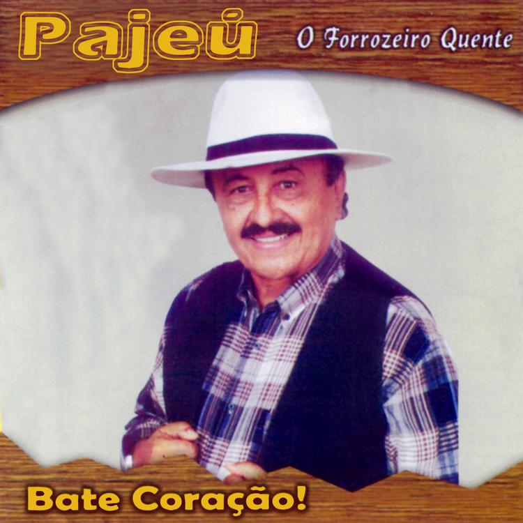 Pajeú's avatar image