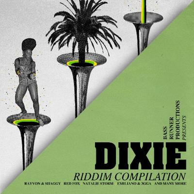 Dixie Riddim Compilation's cover