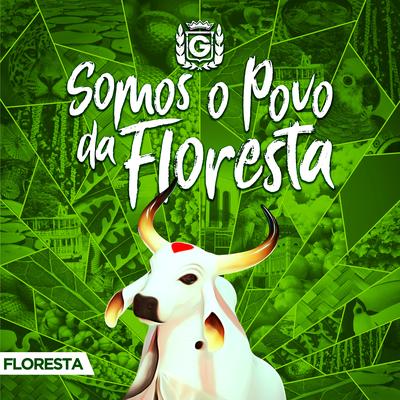 Somos o Povo da Floresta By Boi Bumba Garantido's cover