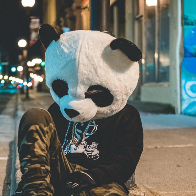 Lazy Panda's avatar image