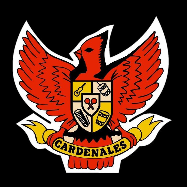 Cardenales del Exito's avatar image