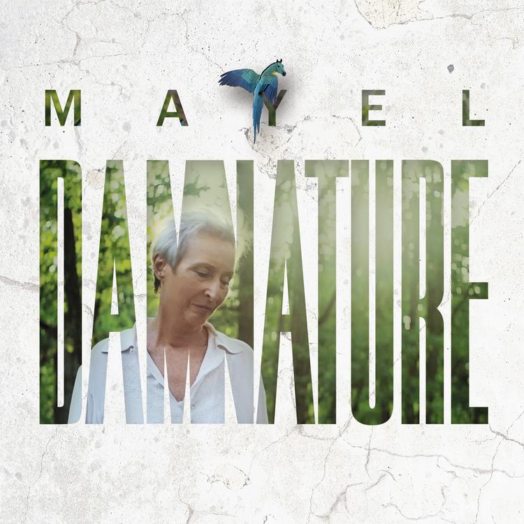 Mayel's avatar image