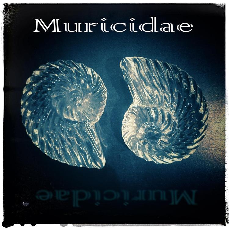 Muricidae's avatar image