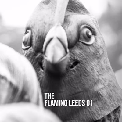 The Flaming Leeds 01's cover