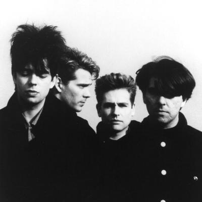 Echo & the Bunnymen's cover