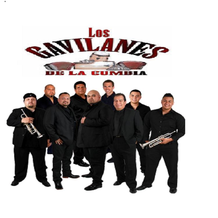 Los Gavilanes De La Cumbia's avatar image